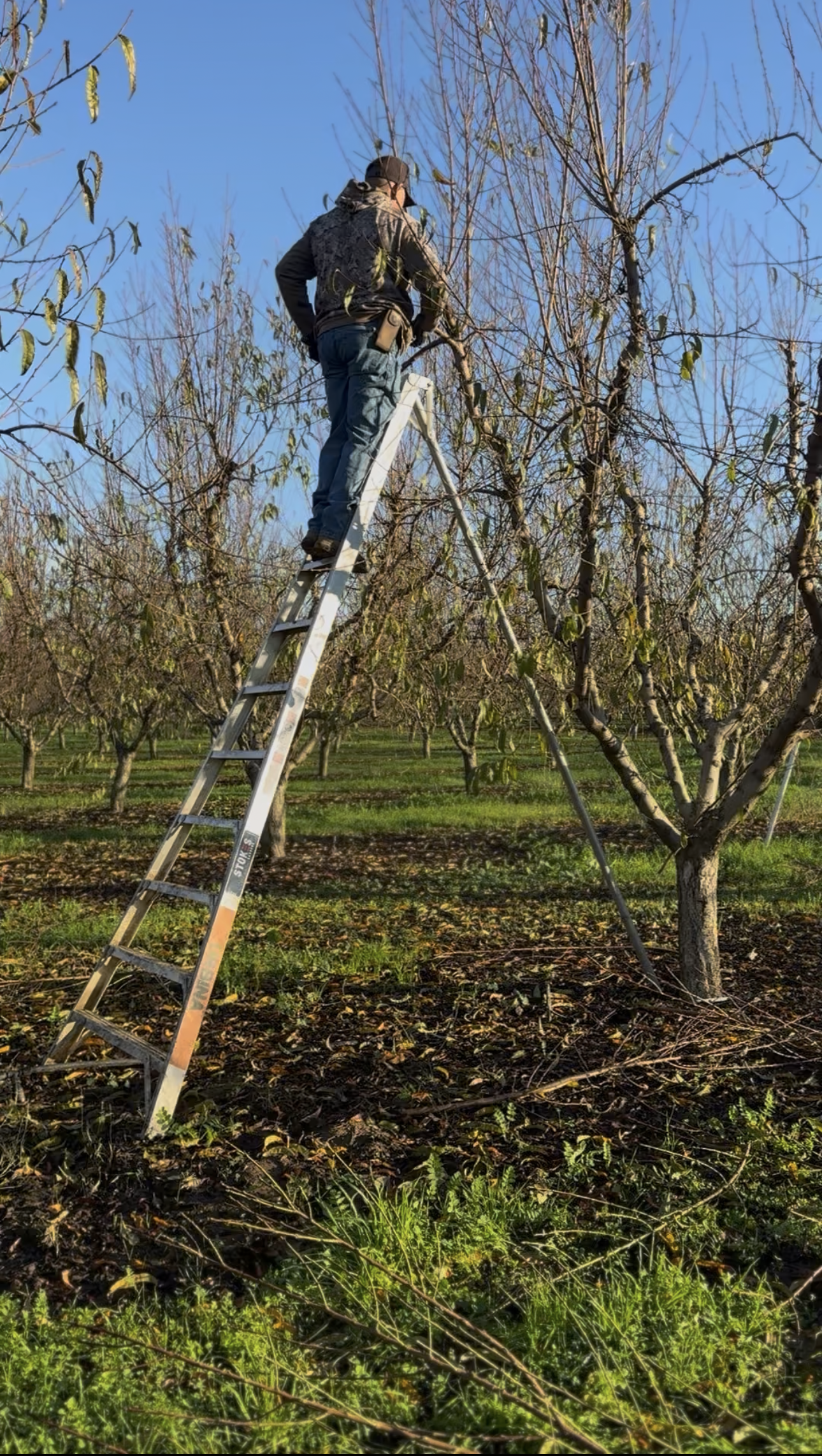 Urbina Farm Management field photo