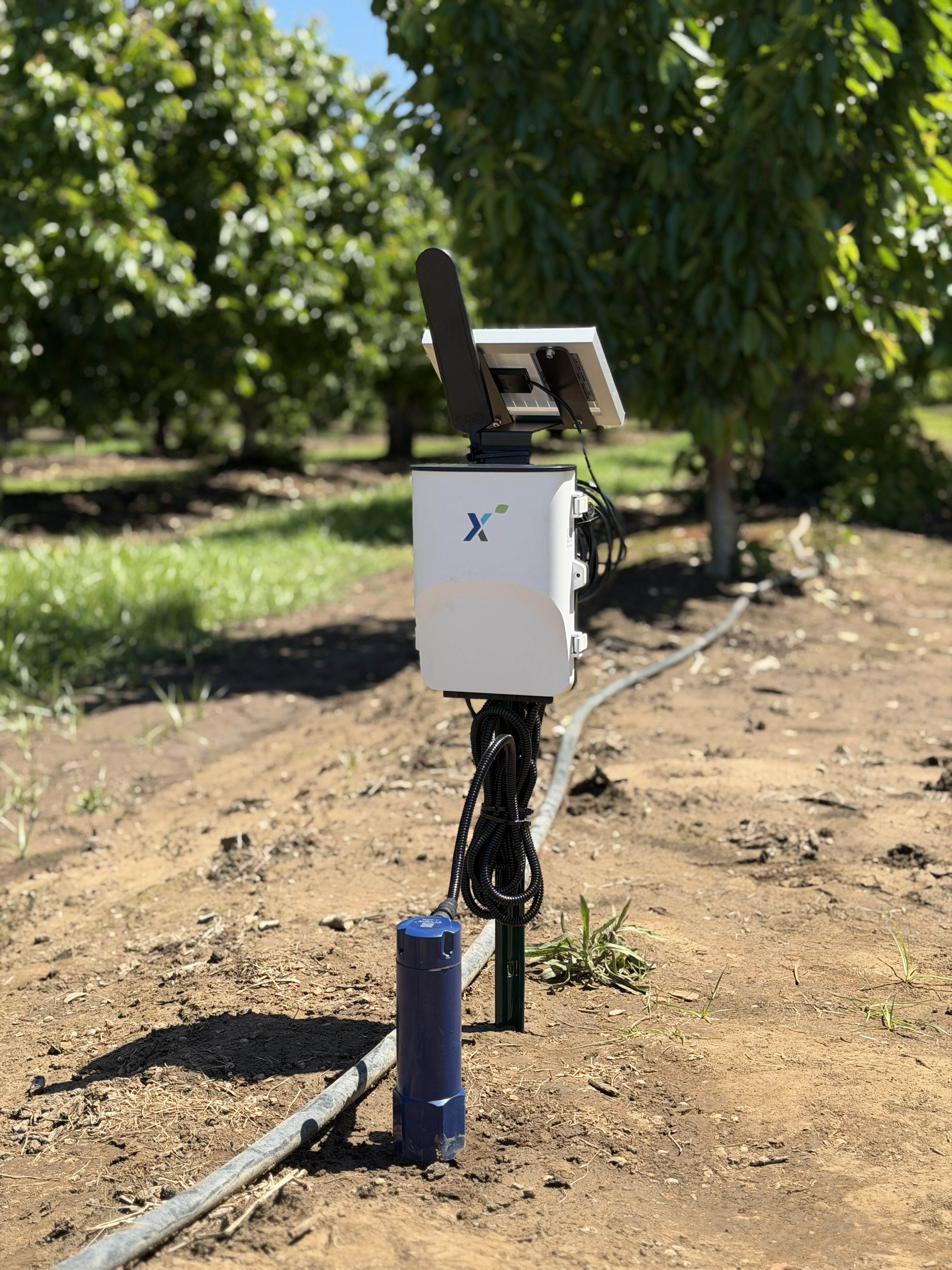 Pacific Fieldworks field photo