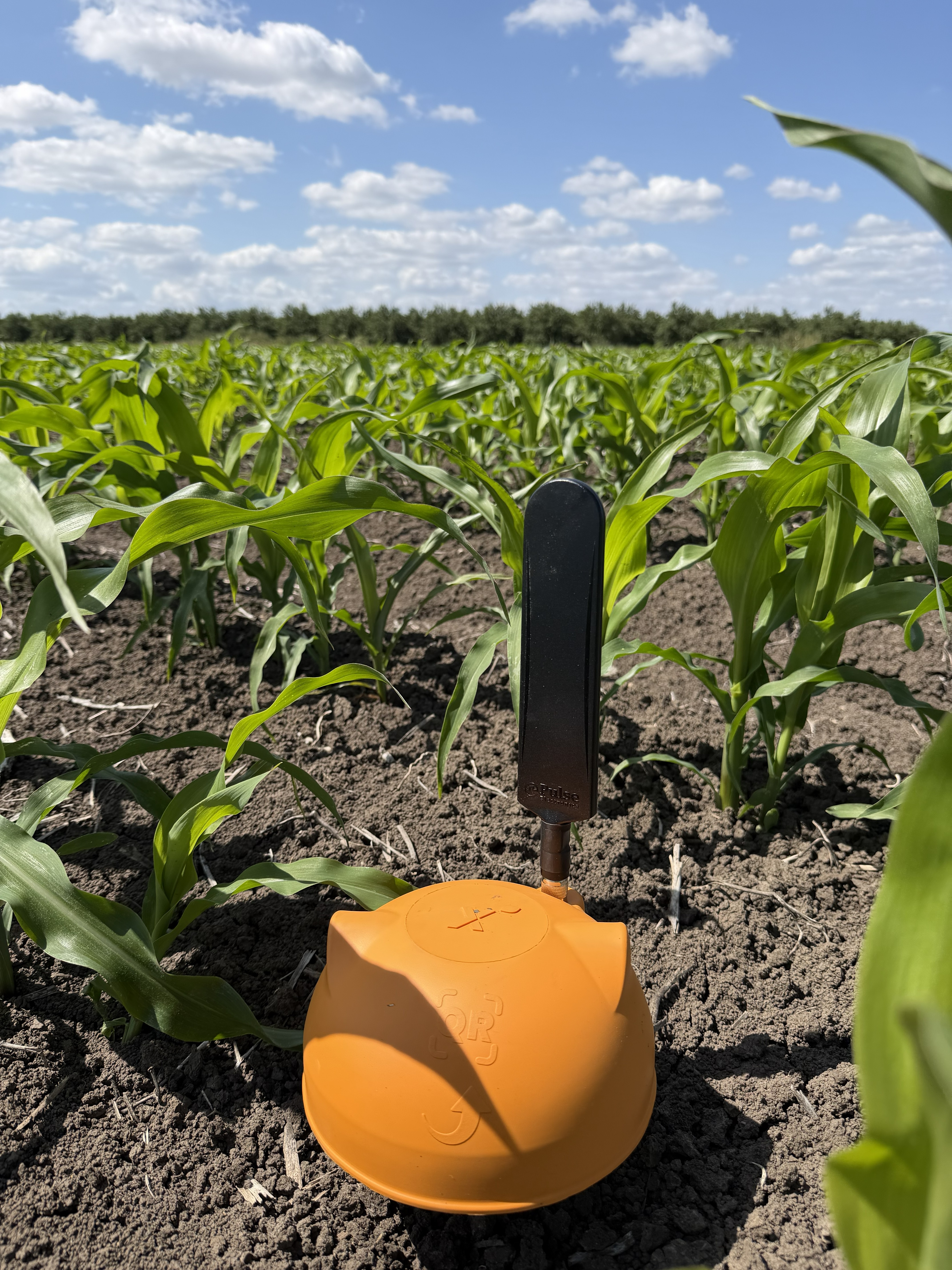 Pacific Fieldworks field photo