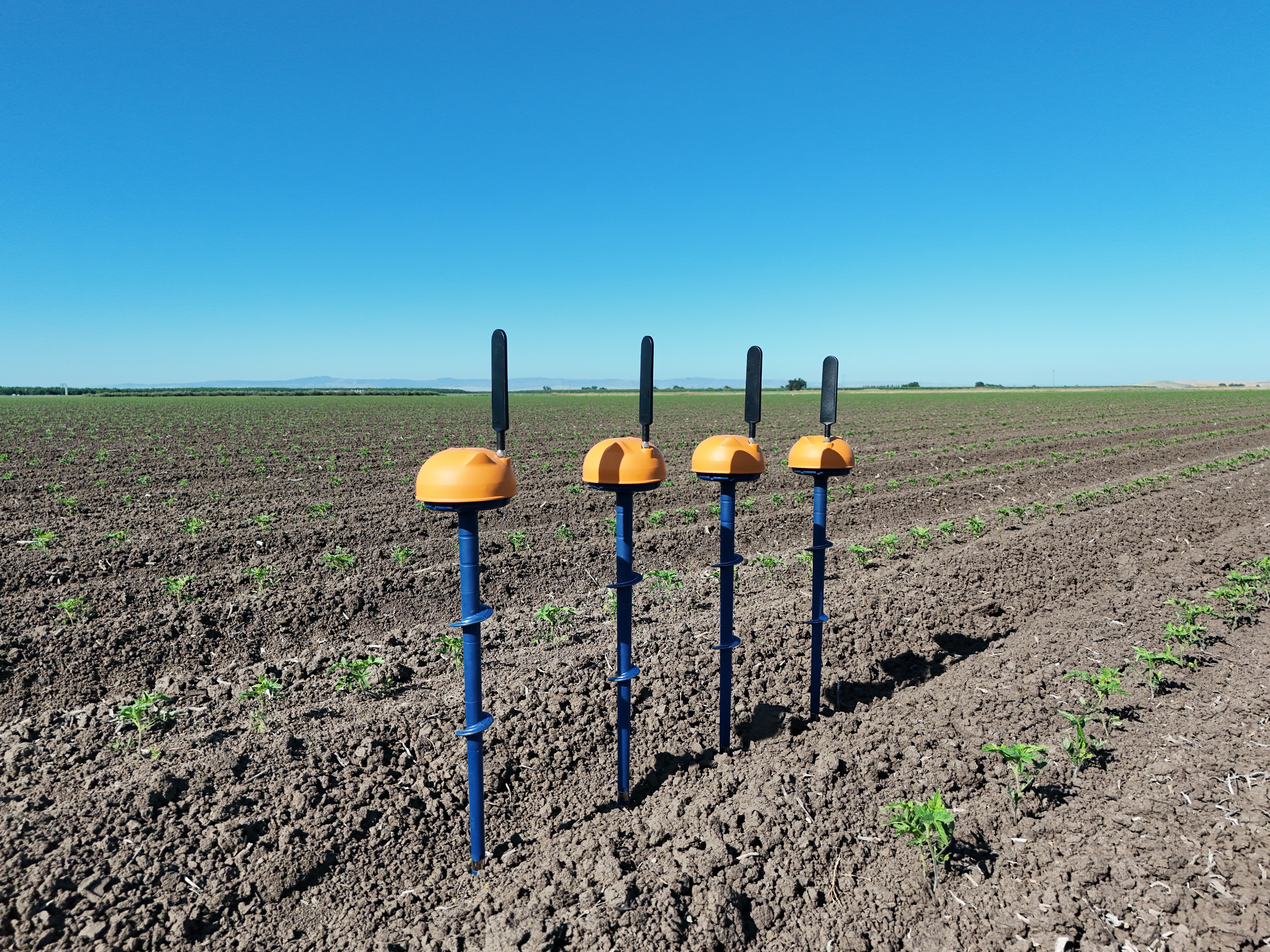 Pacific Fieldworks field photo