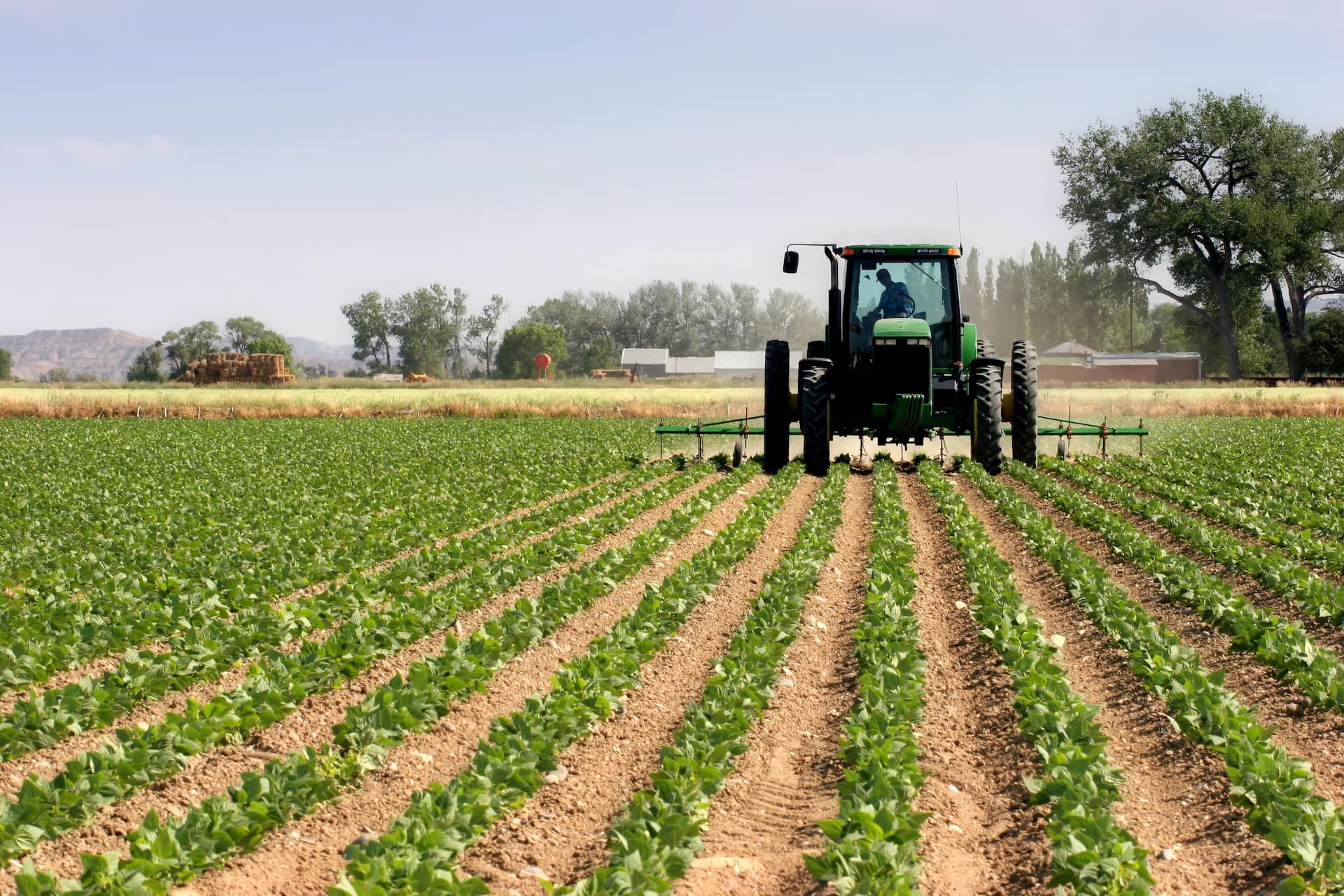 The Real Cost of Delayed Fieldwork and How Technology Is Reducing Missed Windows