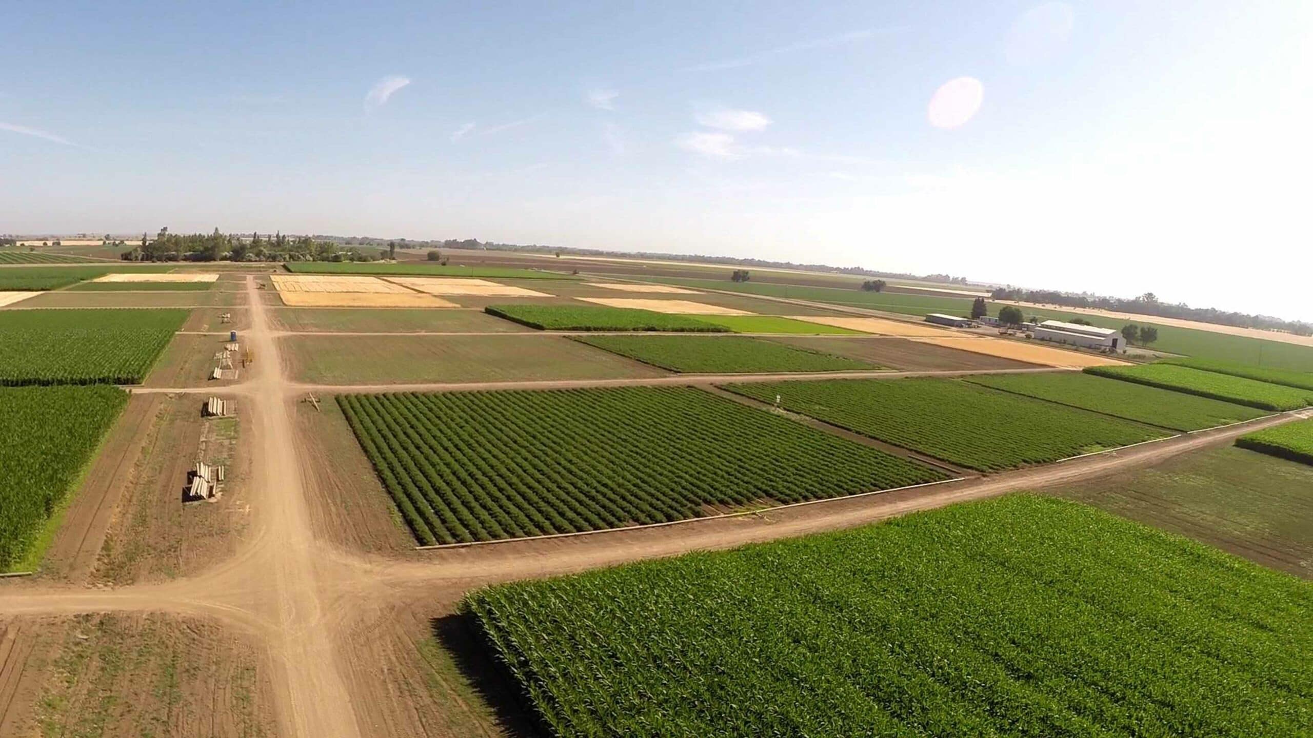 Davis agricultural landscape