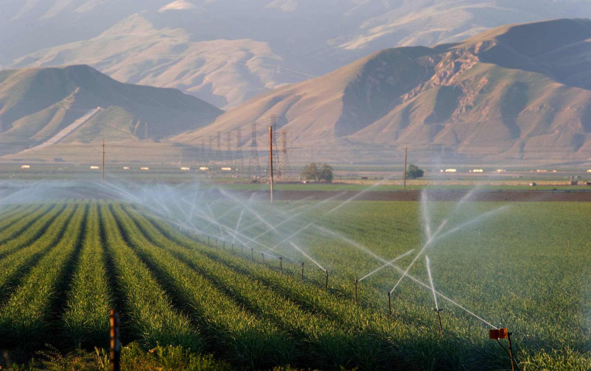 Tracy agricultural landscape